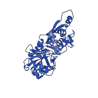 14957_7ztc_F_v1-1
Non-muscle F-actin decorated with non-muscle tropomyosin 1.6