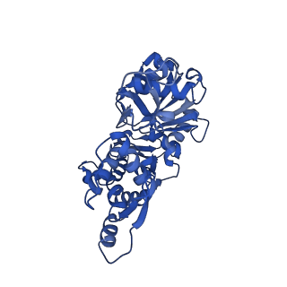 14957_7ztc_G_v1-1
Non-muscle F-actin decorated with non-muscle tropomyosin 1.6