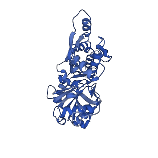 14957_7ztc_H_v1-1
Non-muscle F-actin decorated with non-muscle tropomyosin 1.6