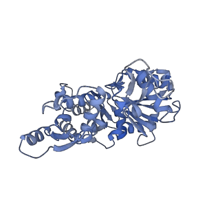14958_7ztd_B_v1-1
Non-muscle F-actin decorated with non-muscle tropomyosin 3.2