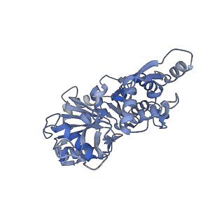 14958_7ztd_C_v1-1
Non-muscle F-actin decorated with non-muscle tropomyosin 3.2