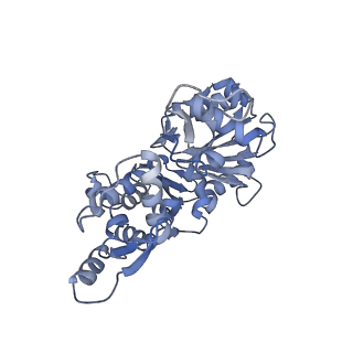 14958_7ztd_D_v1-1
Non-muscle F-actin decorated with non-muscle tropomyosin 3.2