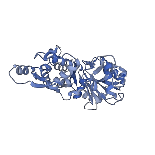 14958_7ztd_E_v1-1
Non-muscle F-actin decorated with non-muscle tropomyosin 3.2