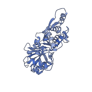 14958_7ztd_F_v1-1
Non-muscle F-actin decorated with non-muscle tropomyosin 3.2