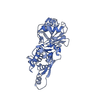 14958_7ztd_G_v1-1
Non-muscle F-actin decorated with non-muscle tropomyosin 3.2