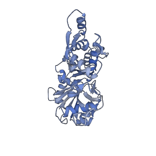 14958_7ztd_H_v1-1
Non-muscle F-actin decorated with non-muscle tropomyosin 3.2