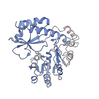 14960_7zth_A_v1-1
Cryo-EM structure of holo-PdxR from Bacillus clausii bound to its target DNA in the open conformation