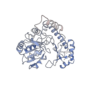 14960_7zth_B_v1-1
Cryo-EM structure of holo-PdxR from Bacillus clausii bound to its target DNA in the open conformation