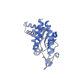 11426_6zu1_AB_v1-1
E. coli 70S-RNAP expressome complex in uncoupled state 2