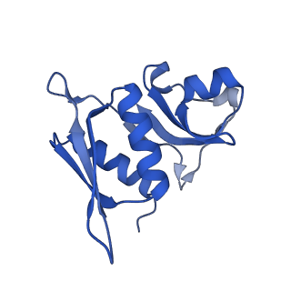 11426_6zu1_AH_v1-1
E. coli 70S-RNAP expressome complex in uncoupled state 2