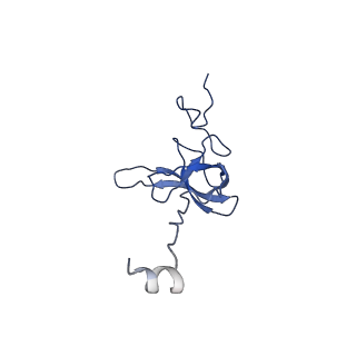 11426_6zu1_AL_v1-1
E. coli 70S-RNAP expressome complex in uncoupled state 2
