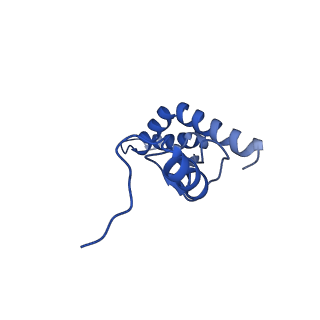 11426_6zu1_AN_v1-1
E. coli 70S-RNAP expressome complex in uncoupled state 2