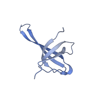 11426_6zu1_AQ_v1-1
E. coli 70S-RNAP expressome complex in uncoupled state 2