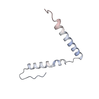 11426_6zu1_AU_v1-1
E. coli 70S-RNAP expressome complex in uncoupled state 2