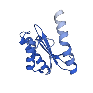 11426_6zu1_BP_v1-1
E. coli 70S-RNAP expressome complex in uncoupled state 2