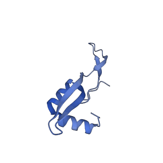 11426_6zu1_BY_v1-1
E. coli 70S-RNAP expressome complex in uncoupled state 2