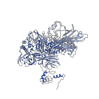 11426_6zu1_CC_v1-1
E. coli 70S-RNAP expressome complex in uncoupled state 2