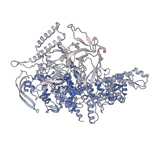 11426_6zu1_CD_v1-1
E. coli 70S-RNAP expressome complex in uncoupled state 2