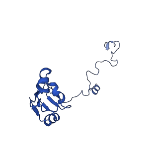 11437_6zu5_LAA_v1-1
Structure of the Paranosema locustae ribosome in complex with Lso2