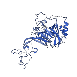 11437_6zu5_LB0_v1-1
Structure of the Paranosema locustae ribosome in complex with Lso2