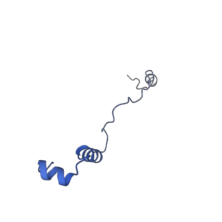 11437_6zu5_LBB_v1-1
Structure of the Paranosema locustae ribosome in complex with Lso2