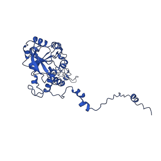 11437_6zu5_LC0_v1-1
Structure of the Paranosema locustae ribosome in complex with Lso2
