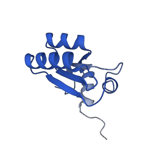11437_6zu5_LCC_v1-1
Structure of the Paranosema locustae ribosome in complex with Lso2