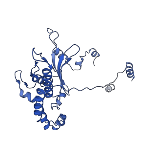 11437_6zu5_LD0_v1-1
Structure of the Paranosema locustae ribosome in complex with Lso2