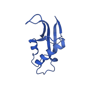 11437_6zu5_LDD_v1-1
Structure of the Paranosema locustae ribosome in complex with Lso2