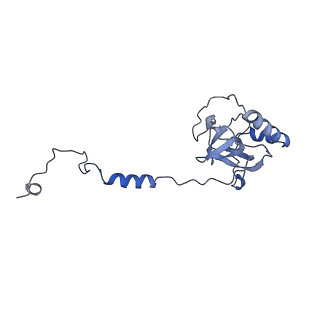 11437_6zu5_LE0_v1-1
Structure of the Paranosema locustae ribosome in complex with Lso2