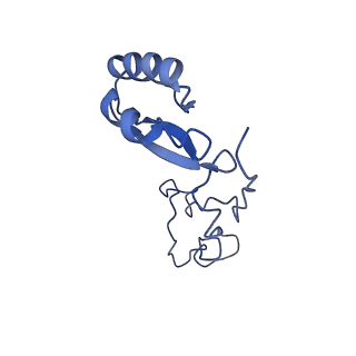11437_6zu5_LEE_v1-1
Structure of the Paranosema locustae ribosome in complex with Lso2