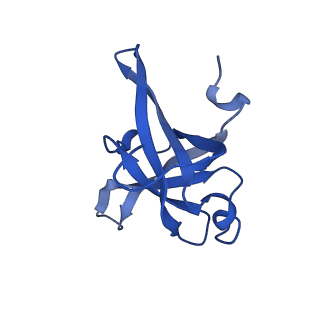 11437_6zu5_LFF_v1-1
Structure of the Paranosema locustae ribosome in complex with Lso2