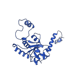 11437_6zu5_LG0_v1-1
Structure of the Paranosema locustae ribosome in complex with Lso2