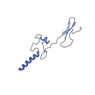 11437_6zu5_LGG_v1-1
Structure of the Paranosema locustae ribosome in complex with Lso2