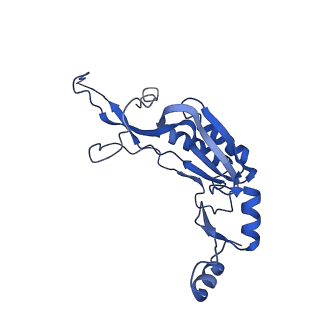 11437_6zu5_LI0_v1-1
Structure of the Paranosema locustae ribosome in complex with Lso2