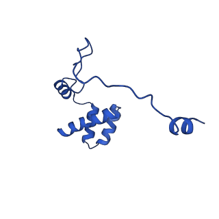 11437_6zu5_LII_v1-1
Structure of the Paranosema locustae ribosome in complex with Lso2