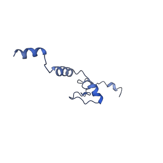 11437_6zu5_LJJ_v1-1
Structure of the Paranosema locustae ribosome in complex with Lso2
