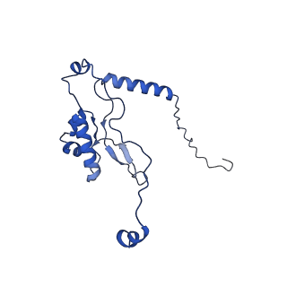 11437_6zu5_LL0_v1-1
Structure of the Paranosema locustae ribosome in complex with Lso2