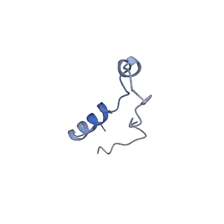 11437_6zu5_LLL_v1-1
Structure of the Paranosema locustae ribosome in complex with Lso2