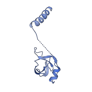 11437_6zu5_LM0_v1-1
Structure of the Paranosema locustae ribosome in complex with Lso2