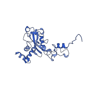 11437_6zu5_LN0_v1-1
Structure of the Paranosema locustae ribosome in complex with Lso2
