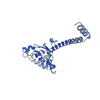 11437_6zu5_LO0_v1-1
Structure of the Paranosema locustae ribosome in complex with Lso2