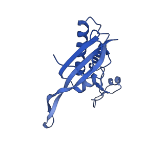 11437_6zu5_LP0_v1-1
Structure of the Paranosema locustae ribosome in complex with Lso2