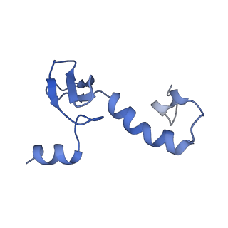 11437_6zu5_LPP_v1-1
Structure of the Paranosema locustae ribosome in complex with Lso2