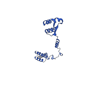 11437_6zu5_LR0_v1-1
Structure of the Paranosema locustae ribosome in complex with Lso2