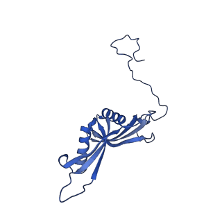11437_6zu5_LS0_v1-1
Structure of the Paranosema locustae ribosome in complex with Lso2
