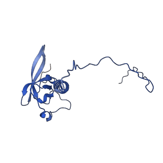 11437_6zu5_LT0_v1-1
Structure of the Paranosema locustae ribosome in complex with Lso2