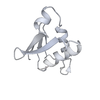 11437_6zu5_LU0_v1-1
Structure of the Paranosema locustae ribosome in complex with Lso2
