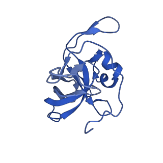 11437_6zu5_LV0_v1-1
Structure of the Paranosema locustae ribosome in complex with Lso2