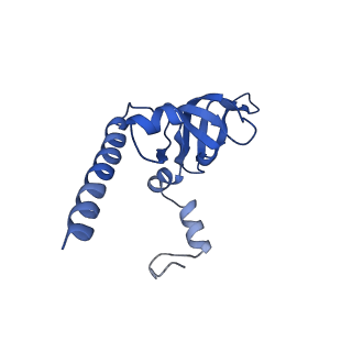 11437_6zu5_LY0_v1-1
Structure of the Paranosema locustae ribosome in complex with Lso2